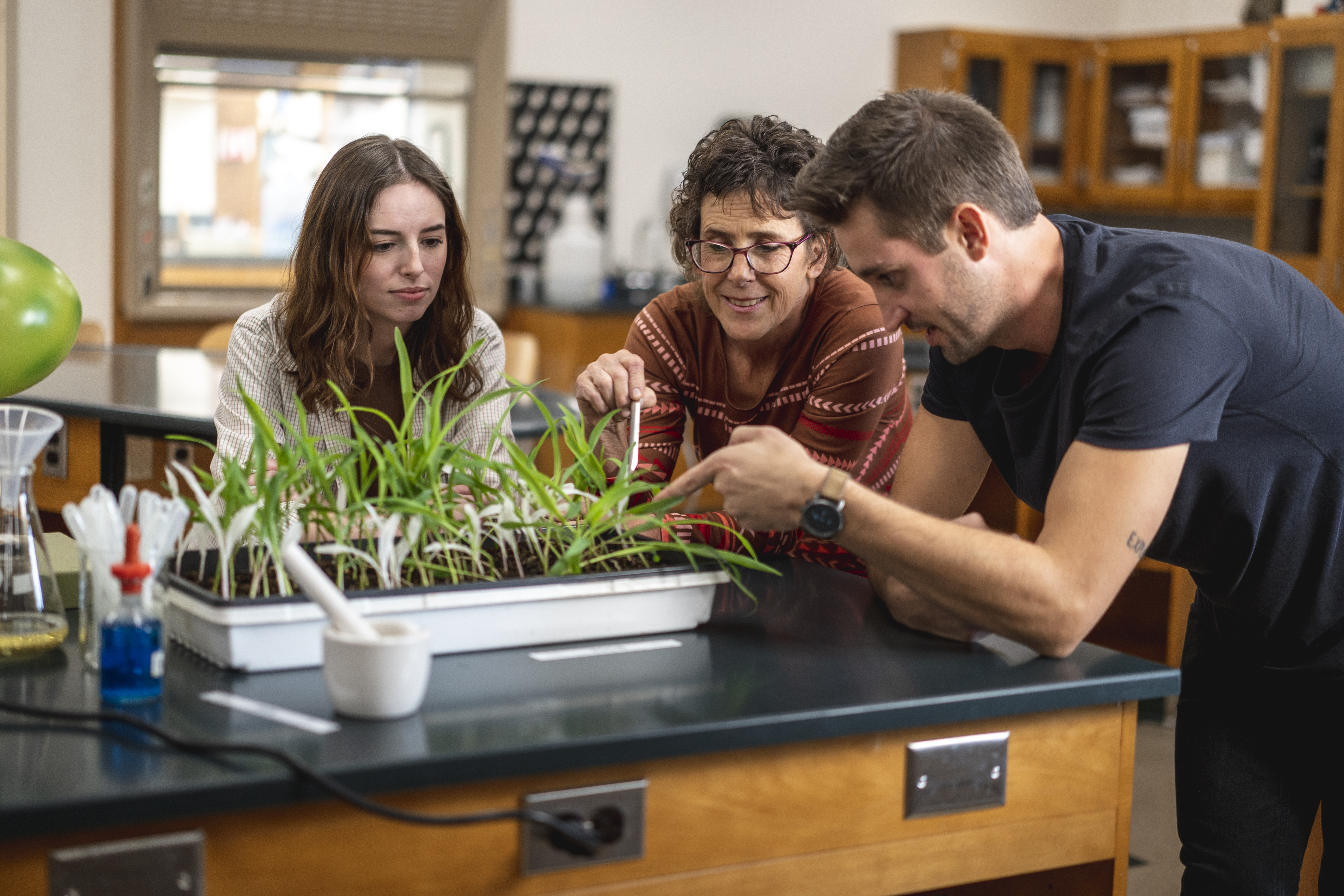 Instructor looking at plants with students