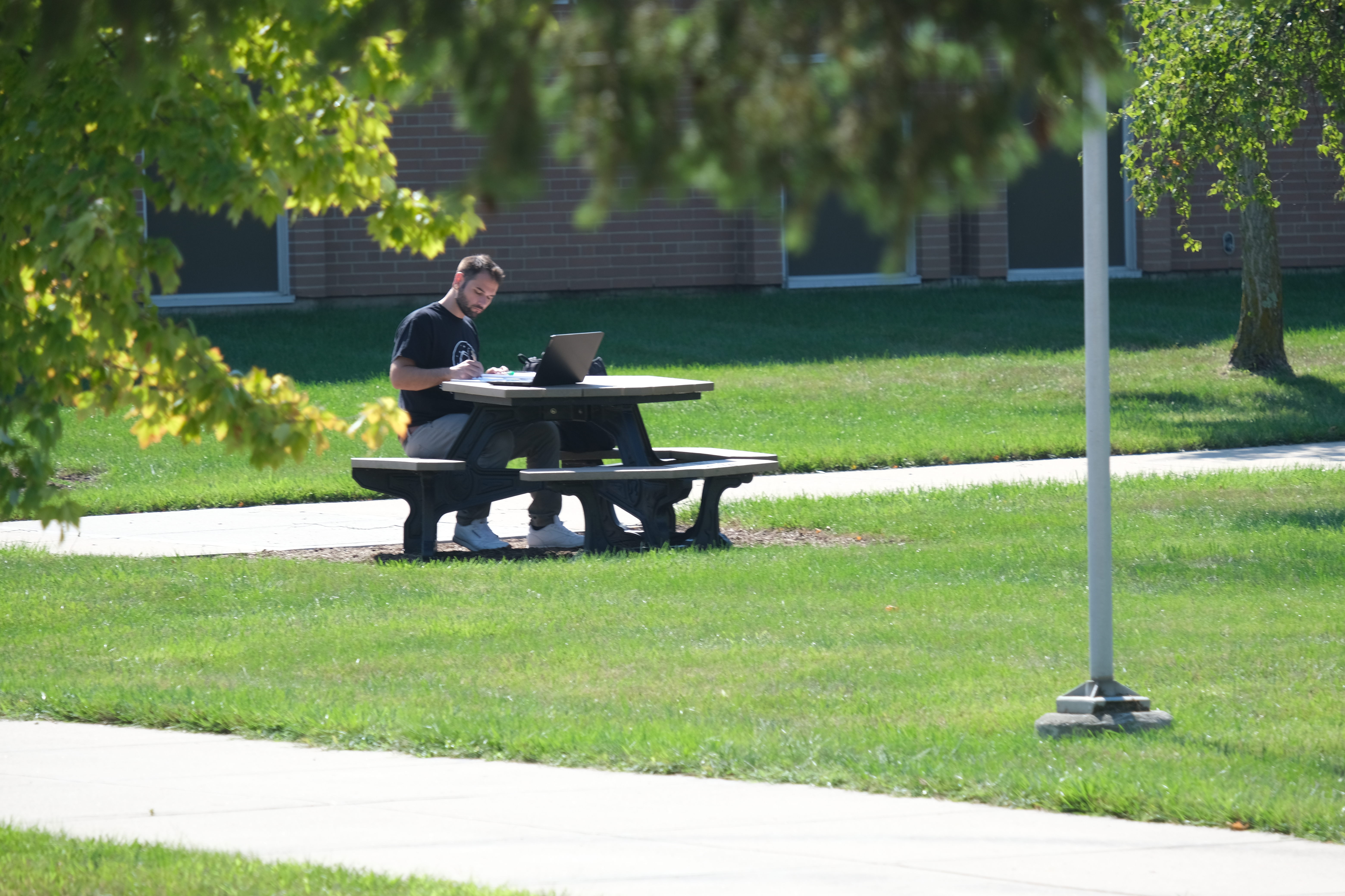 Student studying outside on campus