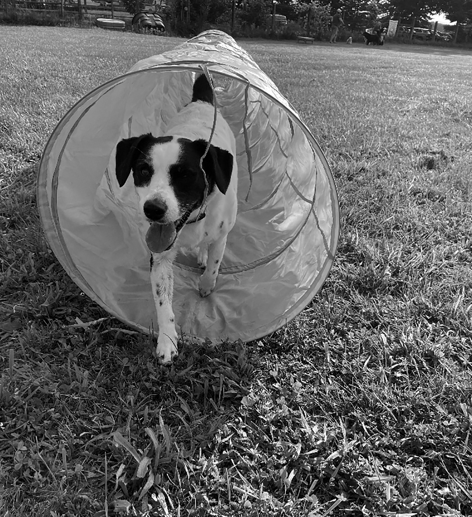 Summer Camps Monroe County Community College