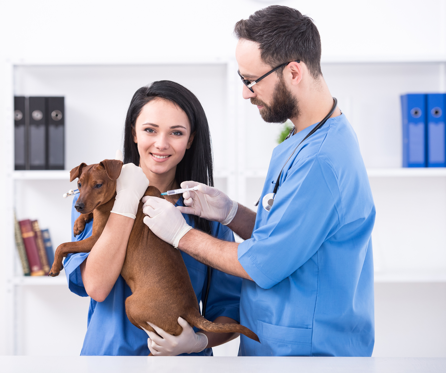 Vet giving a dog a shot