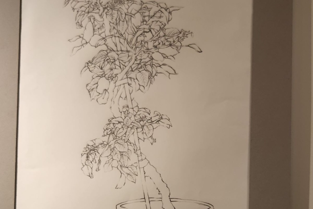 Student art