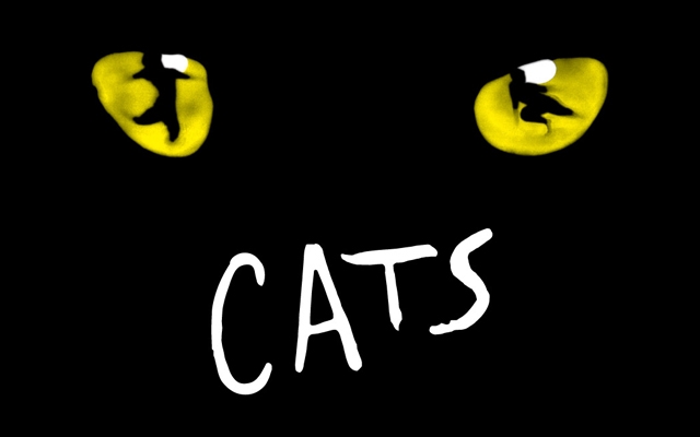 photo of cat eyes