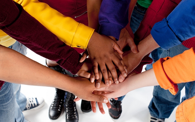 diversity hands image