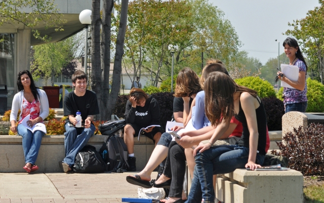 students studying courtyard