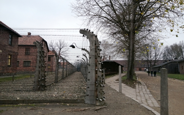 auschwitz camp image
