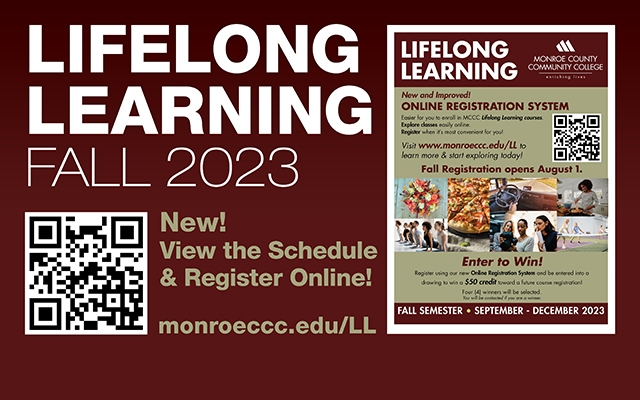 Lifelong Learning Schedule