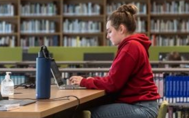 Student in Library on Computer