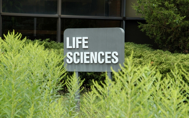 MCCC Campus Sign