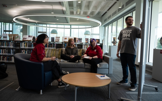 Students working together in library